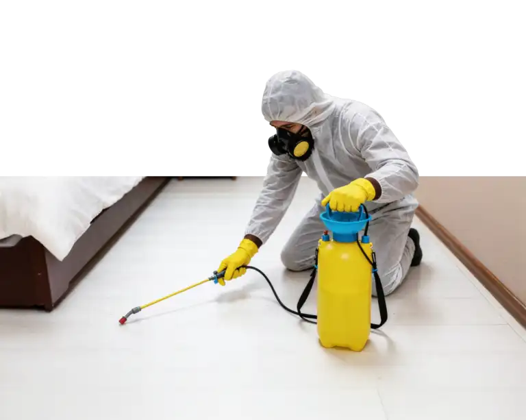 Disinfectant & Sanitisation The Best Deep Cleaning Services in dubai Gumpcare